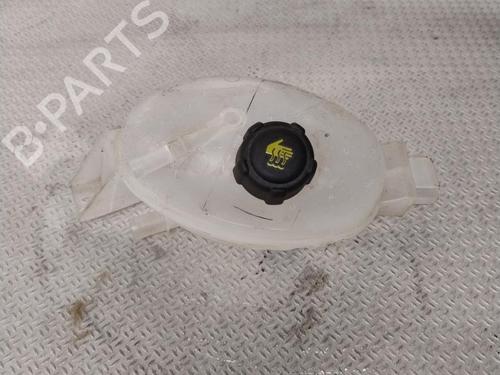Expansion tank RENAULT MASTER III Platform/Chassis (EV, HV, UV) 2.3 dCi 150 FWD (EV0F, HV0F, UV0F, EV03, HV03, UV03) | BP29468388C120 