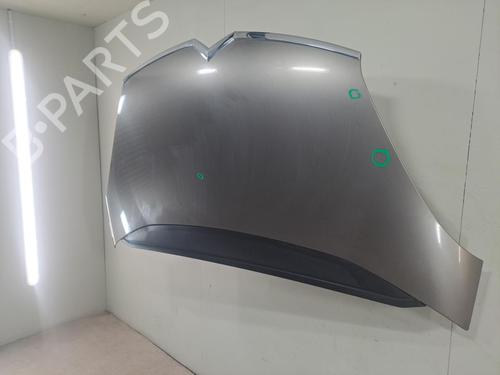 Hood CITROËN C4 Picasso I MPV (UD_) 1.6 HDi | BP24576772C1 