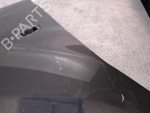 Used Left front fenders CITROËN C-CROSSER (VU_, VV_) 2.2 HDi (156 hp) 24100683