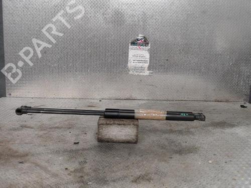 Used Tailgate lift support DACIA SANDERO II 1.2 (75 hp) 24096862