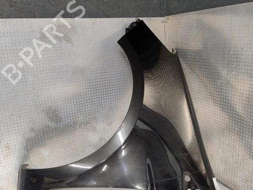 Left front fenders RENAULT CLIO III (BR0/1, CR0/1) 1.5 dCi (BR17, CR17) | BP26015375C41 