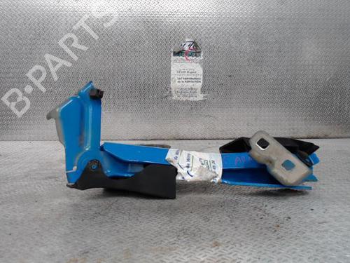 hingedoor-check-strap-renault-master-iii-van-fv-2010-24098267 main image