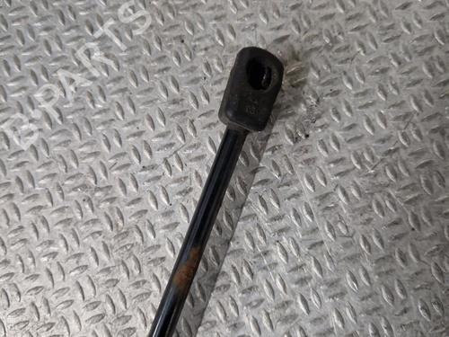 Used Hood lift support VW GOLF VII (5G1, BQ1, BE1, BE2) 1.6 TDI (105 hp) 24096834