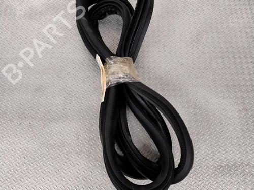 Gummiliste DACIA SANDERO III 1.0 TCe 100 ECO-G | BP28593494C142