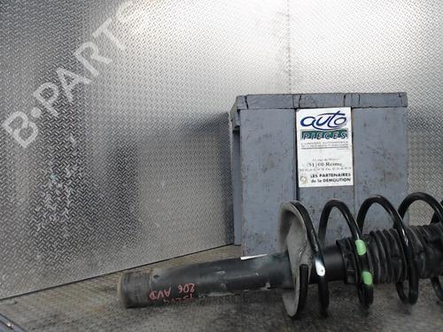 Høyre foran støtdemper PEUGEOT 206 Hatchback (2A/C) [1998-2012]  24079977