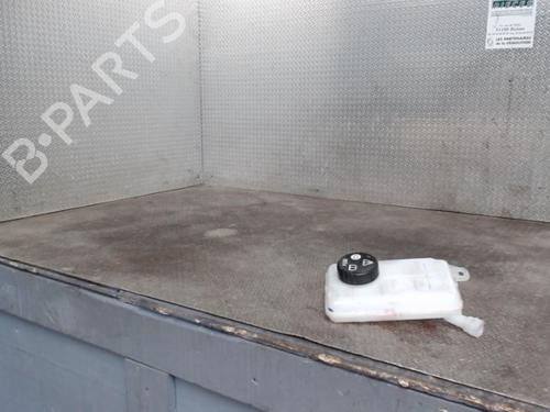 Used Expansion tank RENAULT TRAFIC III Van (FG_) 2.0 dCi 120 (FGMN) (120 hp) 24085507