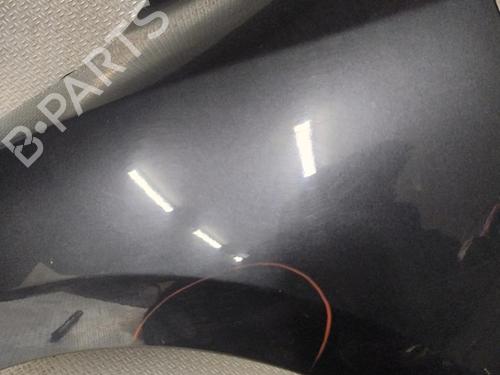 Guarda-lamas esquerdo Guarda-lamas esquerdo RENAULT MEGANE III Hatchback (BZ0/1_, B3_) 1.9 dCi (BZ0N, BZ0J) (131 hp) 32307963 32307963