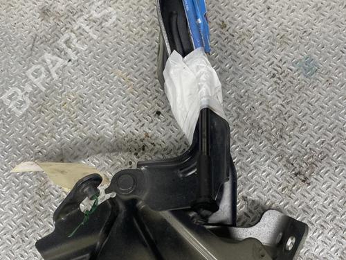 Used Hinge/Door check strap NISSAN NOTE (E12) 1.5 dCi (90 hp) 24101747
