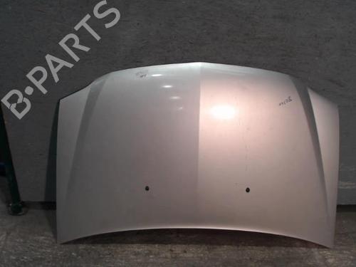 Panser DACIA LOGAN (LS_) 1.4 (LSOA, LSOC, LSOE, LSOG) (75 hp) 24095954