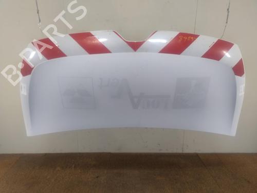 Capot Capot RENAULT MASTER III Van (FV) 2.3 dCi 130 FWD (FV0M, FV0Y, FV0J, FV02, FV03) (130 hp) 36656331 36656331