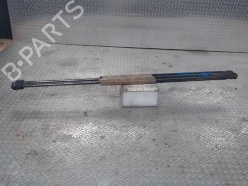 Used Tailgate lift support FORD FIESTA V (JH_, JD_) [2001-2014]  24074932