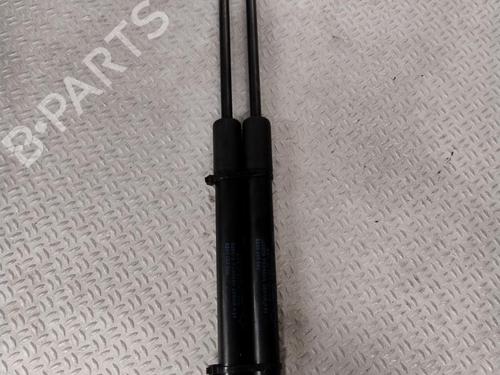 Gassdemper Bakluke RENAULT TWINGO II (CN0_) 1.2 16V (CN0K, CN0V, CN0A) (76 hp) 29318582
