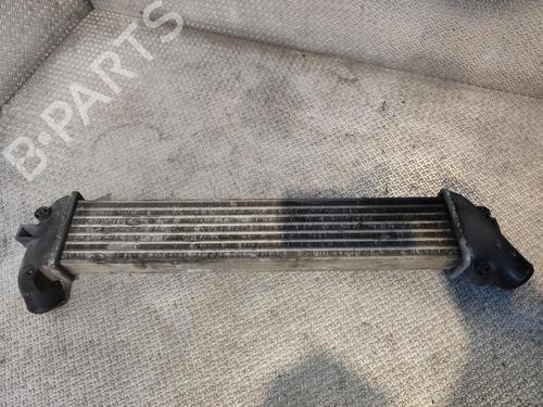 Intercooler RENAULT KANGOO Express (FC0/1_) 1.5 dCi (FC1E) | BP39453286M30 - Image 2