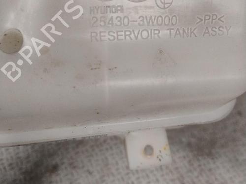 expansion-tank-kia-carens-iv-2013-30522070 main image