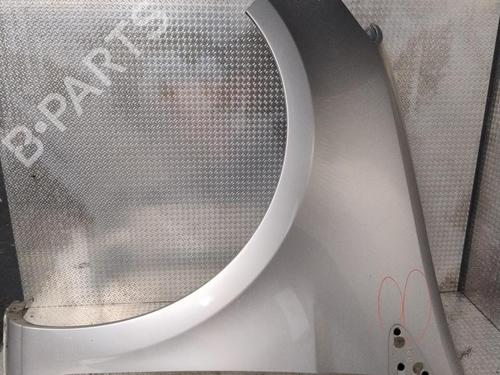 Left front fenders RENAULT CLIO III (BR0/1, CR0/1) 1.5 dCi (C/BR0G, C/BR1G) | BP29379957C41 