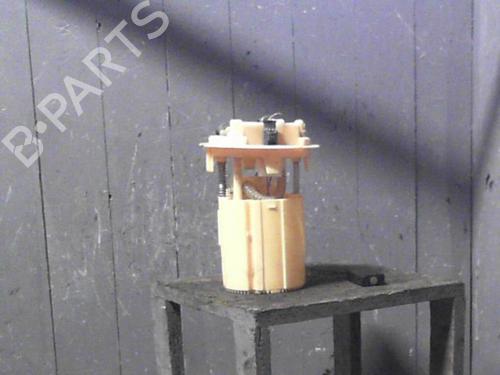 Used Fuel pump PEUGEOT 207 (WA_, WC_) 1.4 HDi (68 hp) 24064002