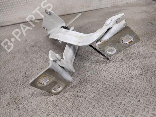 Hinge/Door check strap RENAULT KANGOO Express (FW0/1_) 1.5 dCi 75 (FW07, FW10, FW04) | BP32457160C146