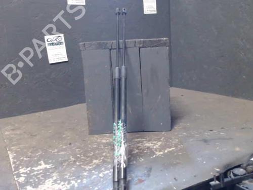 tailgate-lift-support-renault-megane-iii-coupe-dz01_-2008-2009-2010-2011-2012-2013-2014-2015-2016-24068572 main image