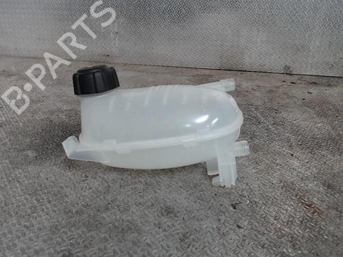 Used Expansion tank RENAULT CLIO V (B7_) 1.0 SCe 75 (B7M5) (72 hp) 24076609