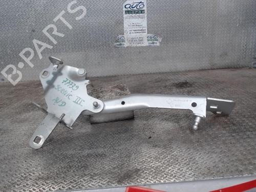 Used Hinge/Door check strap RENAULT SCÉNIC III (JZ0/1_) 1.4 16V (JZ0F, JZ1V) (131 hp) 24082161