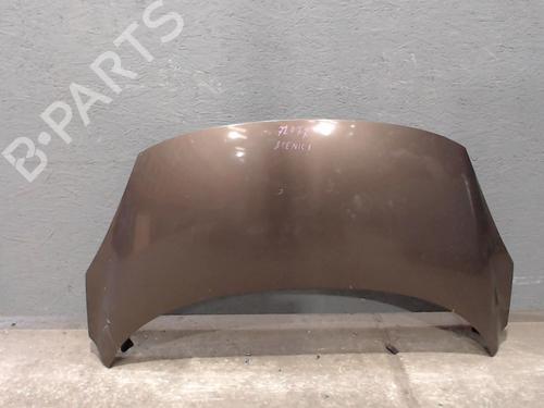 Used Hood RENAULT SCÉNIC III (JZ0/1_) 1.5 dCi (110 hp) 24074018