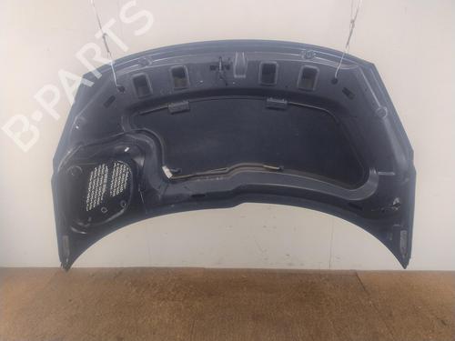 Used Hood Hood PEUGEOT 206+ (2L_, 2M_) 1.1 (60 hp) 35269647 35269647