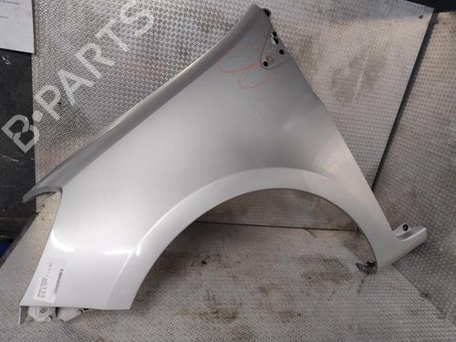 Left front fenders RENAULT CLIO III (BR0/1, CR0/1) 1.5 dCi (C/BR0G, C/BR1G) | BP29379957C41 