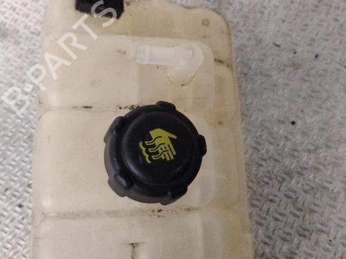 Expansion tank RENAULT GRAND SCÉNIC IV (R9_) 1.5 dCi 110 (R9A3) | BP30188378C120 