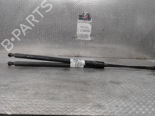 Used Tailgate lift support RENAULT GRAND SCÉNIC III (JZ0/1_) 1.9 dCi (JZ0J, JZ0N, JZ1K, JZ1S) (131 hp) 24094444