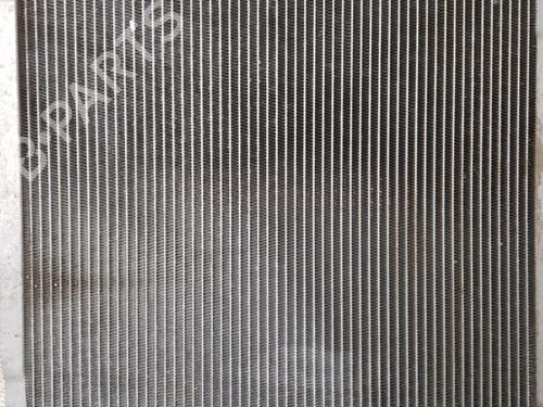 Used Heater matrix Heater matrix FORD PUMA (J2K, CF7) 1.0 EcoBoost mHEV (125 hp) 36463801 36463801