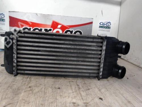 Used Other RENAULT MEGANE II (BM0/1_, CM0/1_) 1.9 dCi (BM0G, CM0G) (120 hp) 24068419