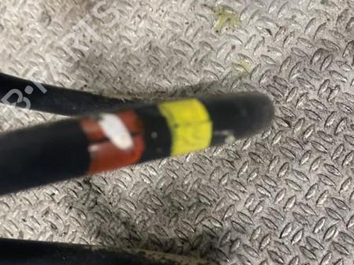 Used Shock absorber spring RENAULT CLIO III (BR0/1, CR0/1) 1.5 dCi (BR17, CR17) (86 hp) 24101237