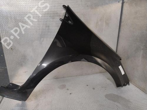 Right front fenders RENAULT CLIO III (BR0/1, CR0/1) 1.5 dCi | BP31819458C42