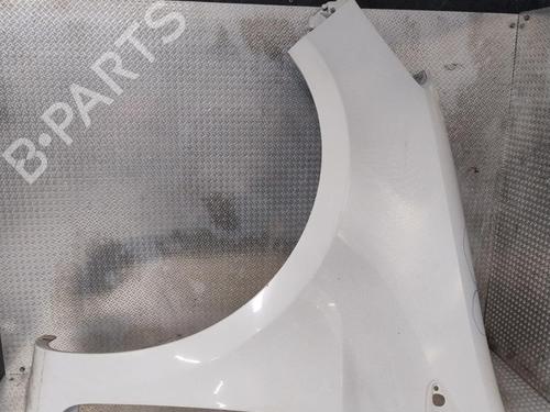 Left front fenders RENAULT CLIO III (BR0/1, CR0/1) 1.5 dCi (C/BR0G, C/BR1G) | BP28207298C41 