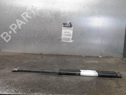 tailgate-lift-support-fiat-500-312_-2007-24090571 main image