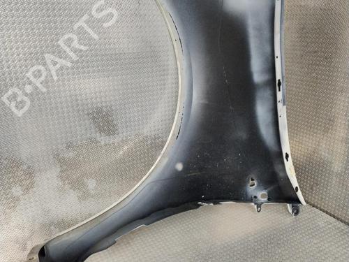 Used Right front fenders RENAULT CLIO III (BR0/1, CR0/1) 1.2 16V (BR02, BR0J, BR11, CR02, CR0J, CR11) (75 hp) 25703366