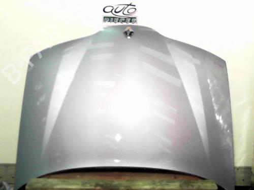 Used Hood RENAULT LAGUNA II (BG0/1_) 1.9 dCi (BG08, BG0G) (120 hp) 24060185