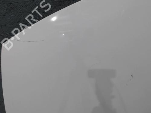 Used Hood CITROËN C3 I (FC_, FN_) 1.4 i (73 hp) 24091716