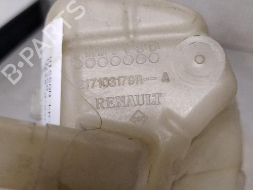 Used Expansion tank NISSAN NV250 Van (X61) dCi 95 (95 hp) 29344399