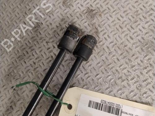 Tailgate lift support BMW 3 Touring (E91) 320 i | BP31266456C138 