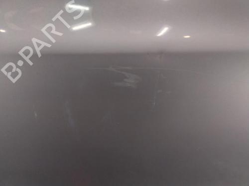 Left front door TOYOTA YARIS (_P9_) 1.4 D-4D (NLP90_, NLP90R) | BP29468466C2 