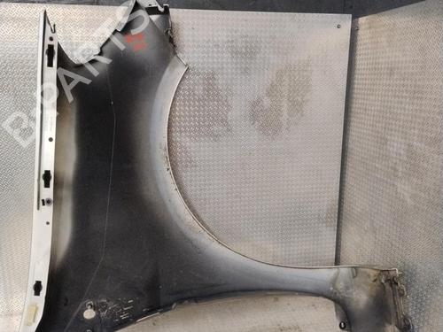 Left front fenders RENAULT CLIO III (BR0/1, CR0/1) 1.5 dCi (C/BR0G, C/BR1G) | BP29379957C41 