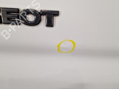 Left tailgate PEUGEOT PARTNER Box Body/MPV (5_, G_) 1.1 | BP24060602C76 