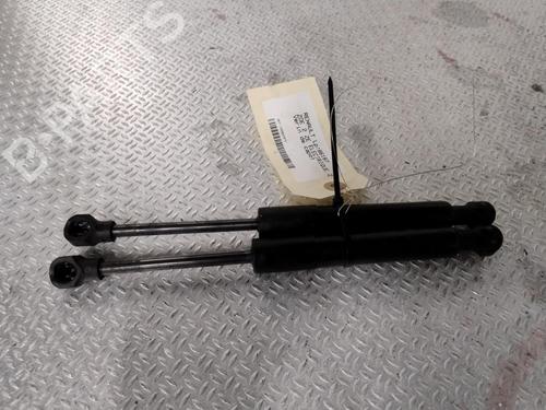 hood-lift-support-renault-zoe-bfm_-2012-28484102 main image