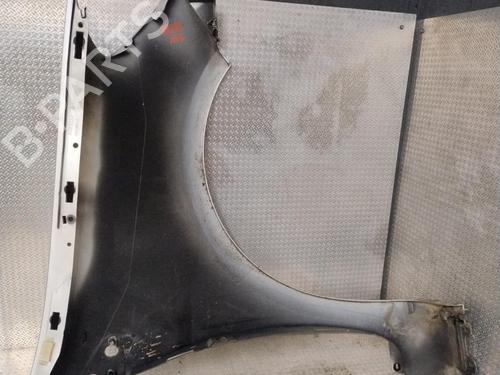 Used Left front fenders RENAULT CLIO III (BR0/1, CR0/1) 1.5 dCi (C/BR0G, C/BR1G) (68 hp) 29379957