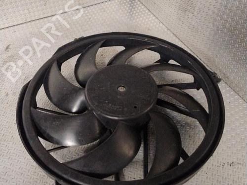 Radiator fan PEUGEOT 206 Hatchback (2A/C) 1.4 i | BP30164014M35 
