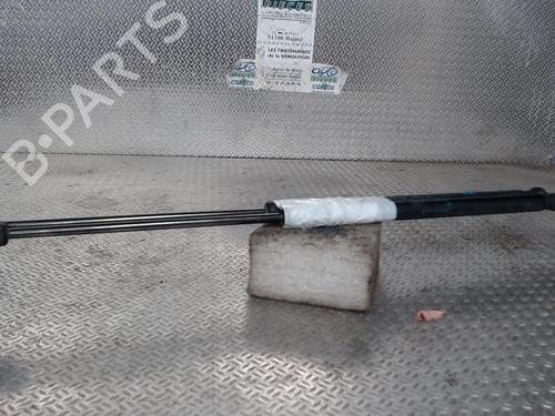 Used Tailgate lift support VW POLO V (6R1, 6C1) 1.2 (60 hp) 24076542