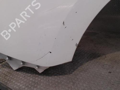 Used Left front fenders RENAULT KANGOO Express (FW0/1_) 1.5 dCi 85 (FW0K, FW0L, FW0B) (86 hp) 24099389