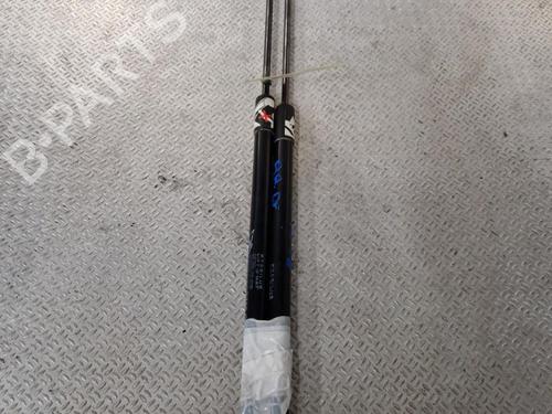 Gassdemper Bakluke CITROËN C4 Picasso II 1.6 BlueHDi 120 | BP24061748C138