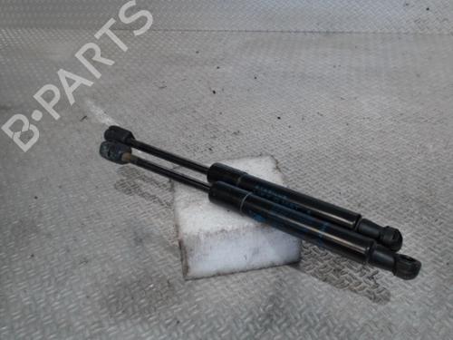 Used Hood lift support RENAULT SCÉNIC III (JZ0/1_) 1.6 dCi (JZ00, JZ12) (130 hp) 24079219